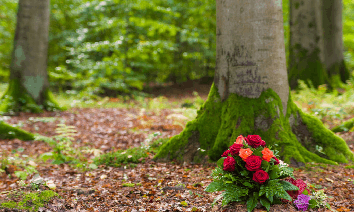 AdobeStock_nature-flower-arrangement-1200×800